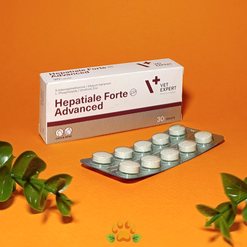 مکمل کبدی هپاتیال فورته ادونسد وت اکسپرت vetexpert hepatial forte advanced